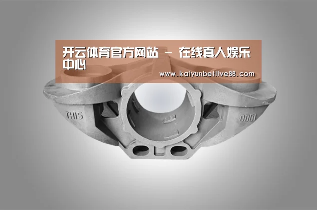 产品展示标题三